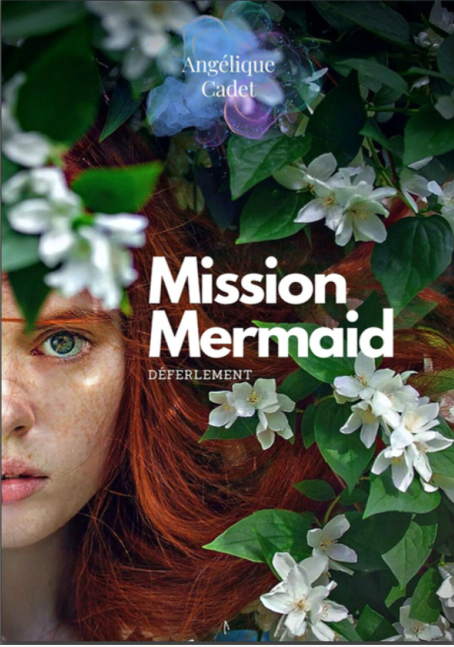 Mission Mermaid